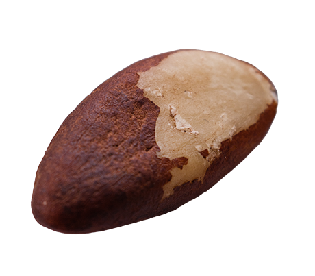 Brazil Nuts