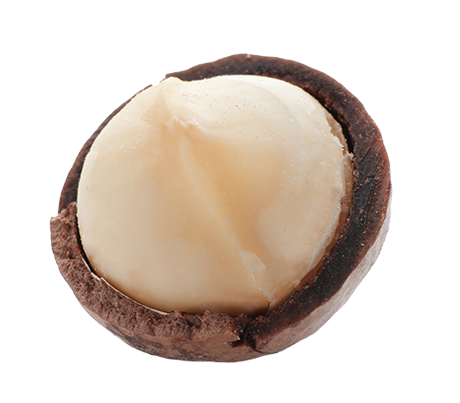 Macadamia
