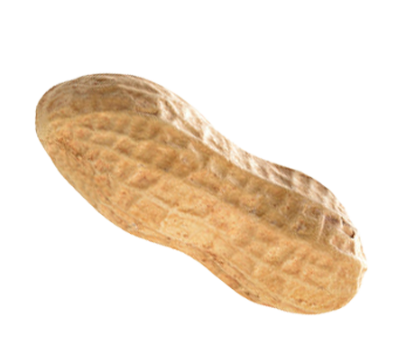 Peanuts