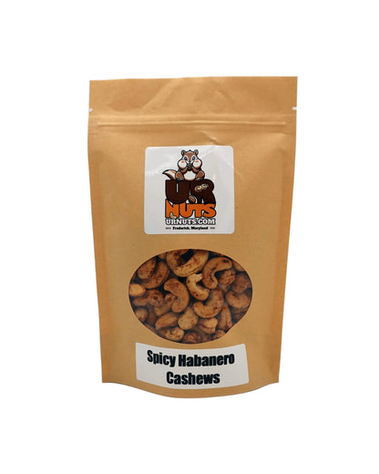 A stand-up kraft paper pouch of UR Nuts Spicy Habanero Cashews, featuring a clear circular window showing the cashews inside and a white label with the product name.